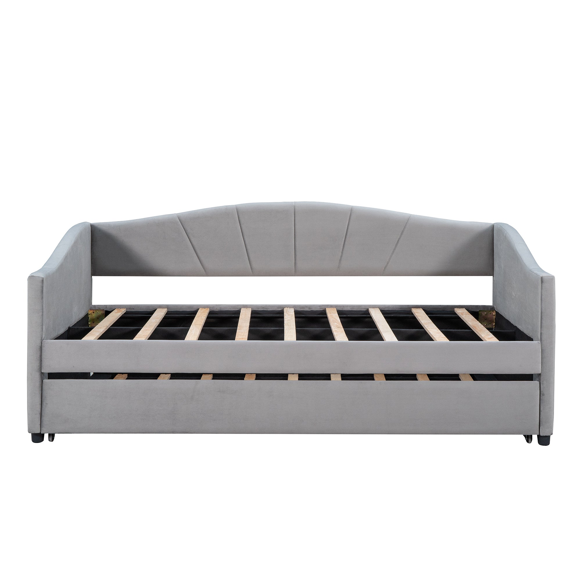 Royard Oaktree Upholstered Daybed with Modern Velvet Sofa Bed with Wood Slat for Living Room Bedroom, No Box Spring Needed