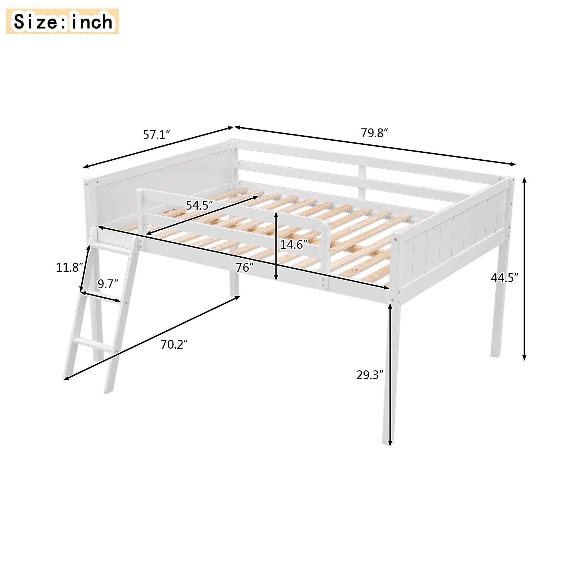 Royard Oaktree Low Loft Bed with Convertible Ladder, Wood Loft Bed Frame with Safety Guardrails, Modern Loft Bed with Slats for Kids Teens Adults, No Box Spring Needed