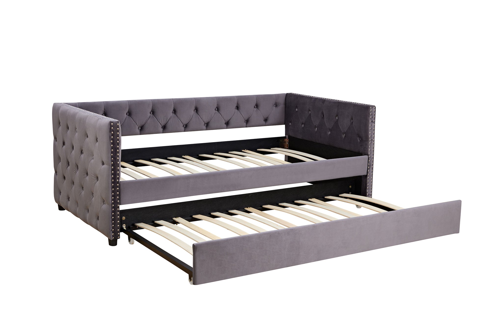 Royard Oaktree Daybed with Trundle Velvet Upholstered Twin Size Day Bed Button-Tufted Sofa Daybed Frame with Trundle, No Box Spring Needed, Furniture for Bedroom Living Room Guest Room